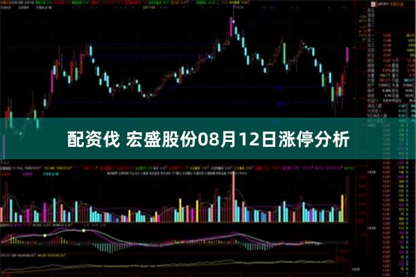 配资伐 宏盛股份08月12日涨停分析