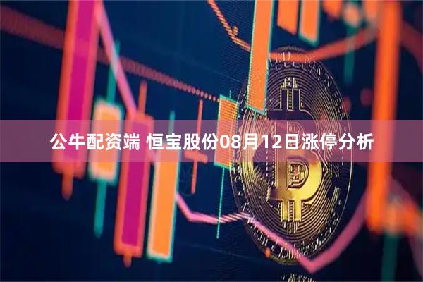 公牛配资端 恒宝股份08月12日涨停分析
