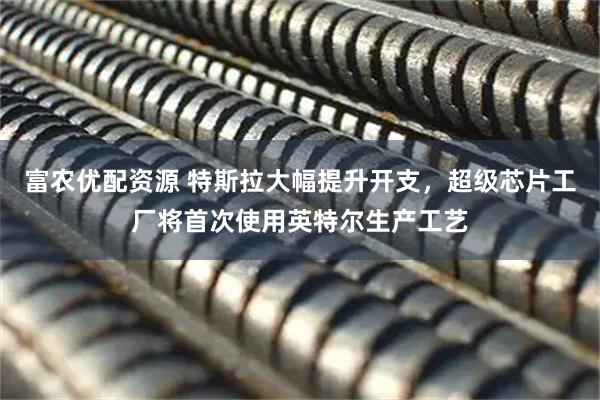 富农优配资源 特斯拉大幅提升开支，超级芯片工厂将首次使用英特尔生产工艺