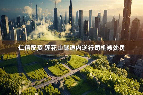 仁信配资 莲花山隧道内逆行司机被处罚